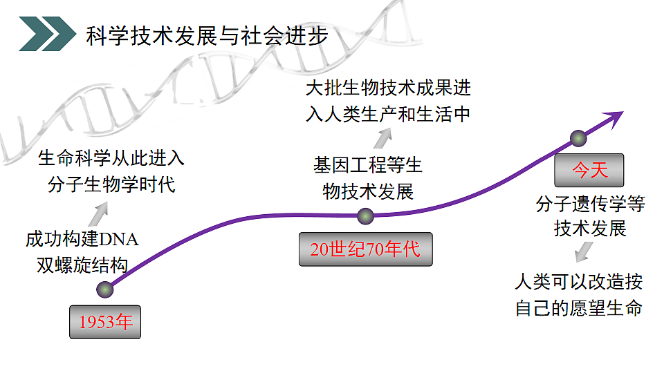 17918786第3页