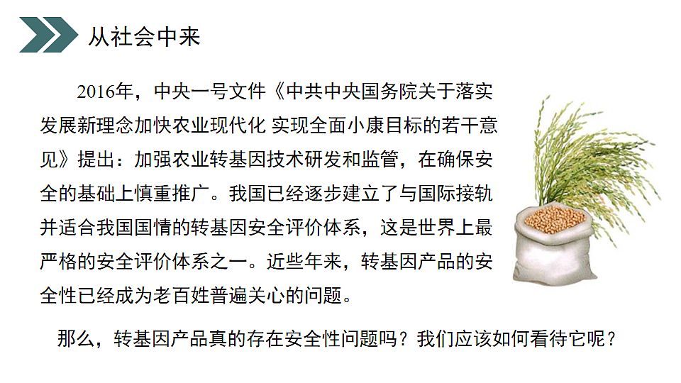 17918786第5页