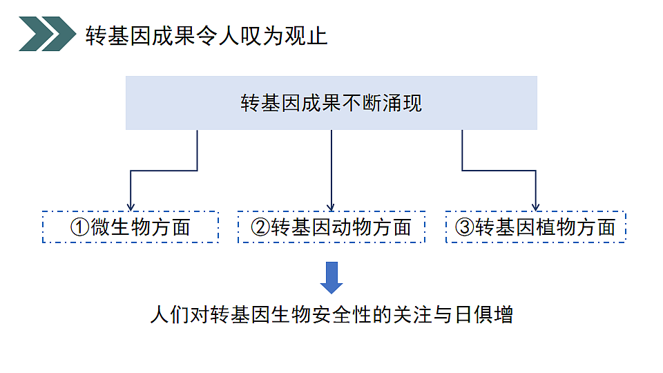 17918786第7页