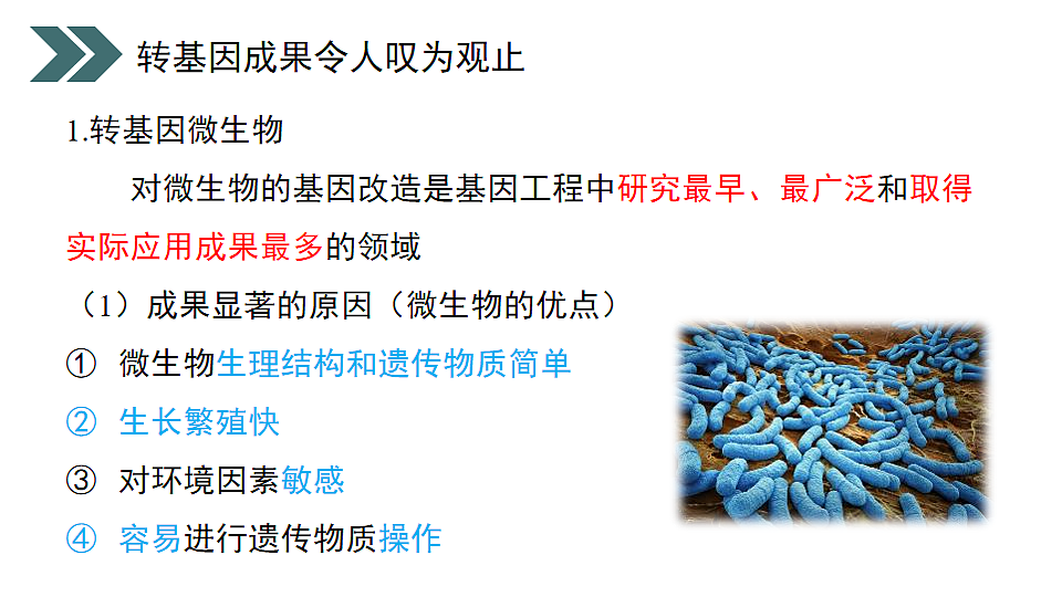 17918786第8页