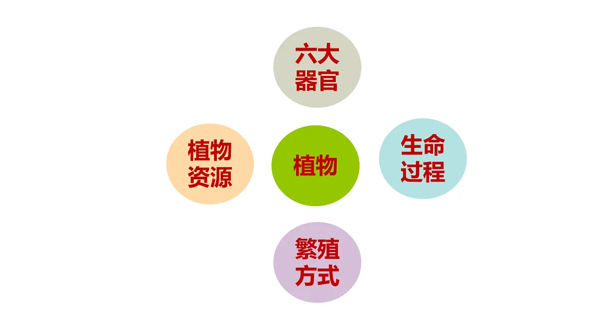 17918795第2页