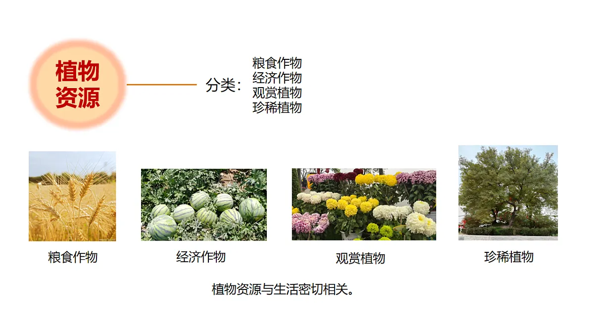17918795第3页