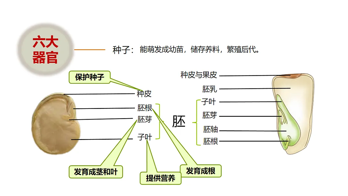 17918795第4页