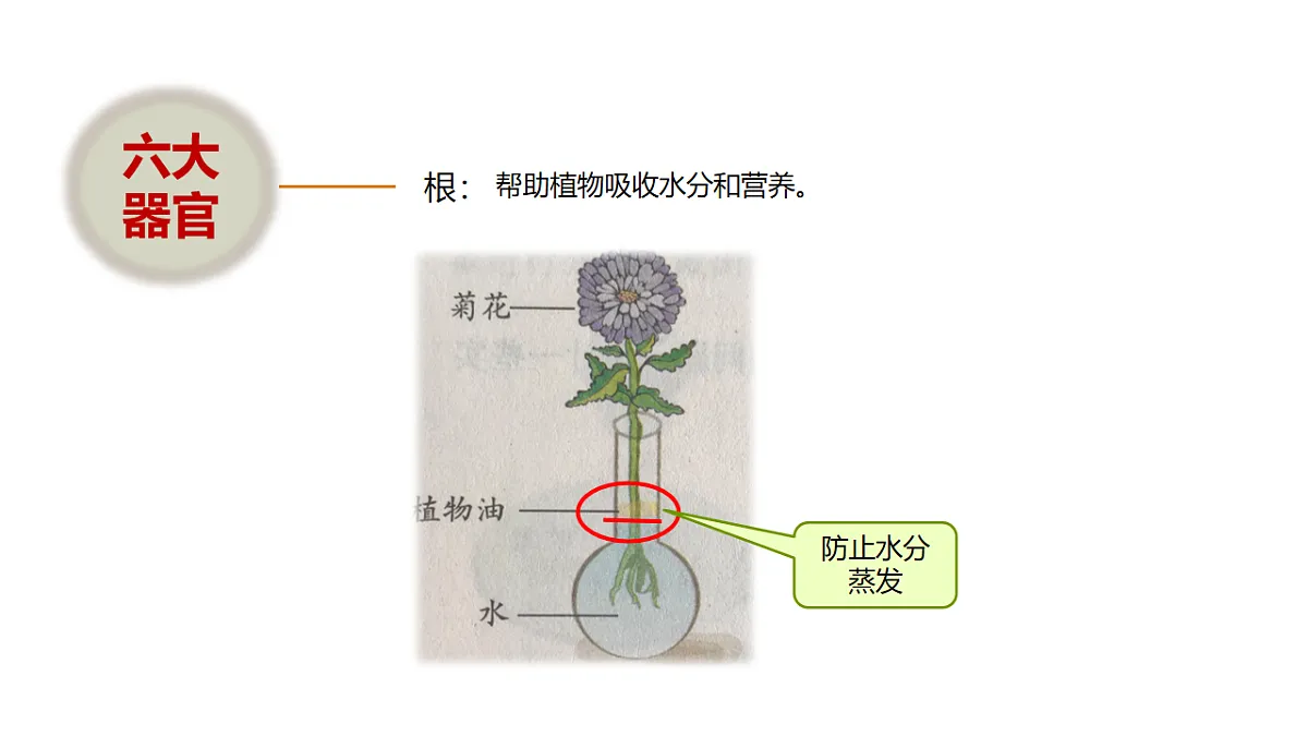 17918795第5页