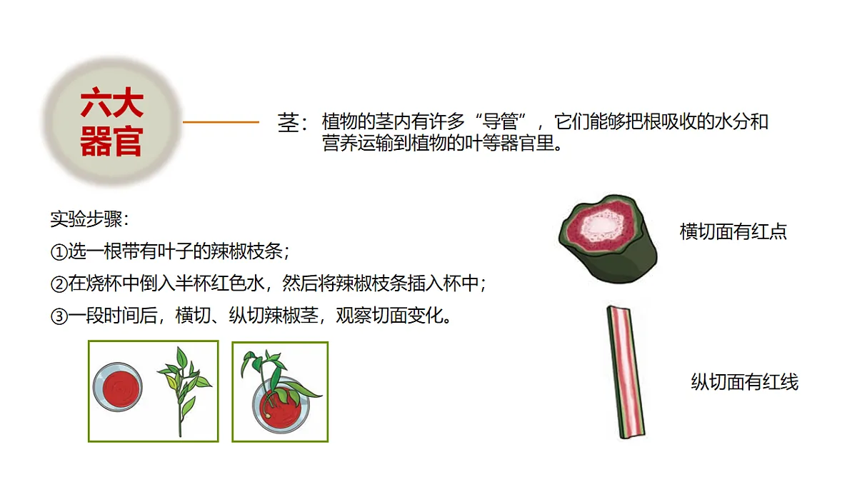 17918795第6页