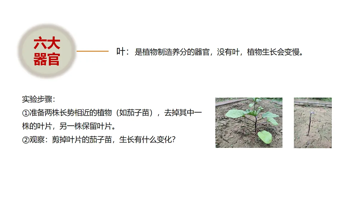 17918795第7页