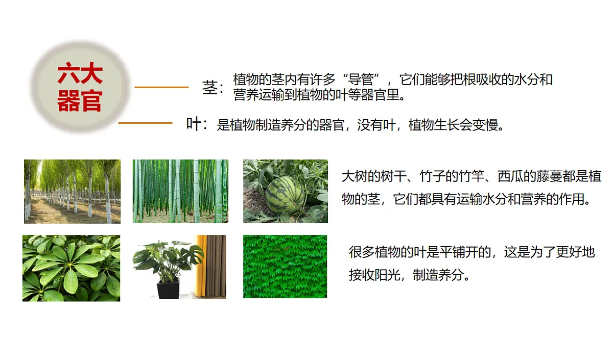 17918795第8页