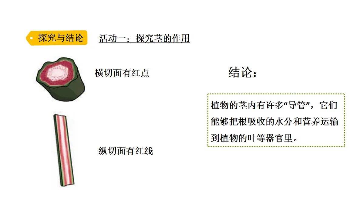 17918796第4页