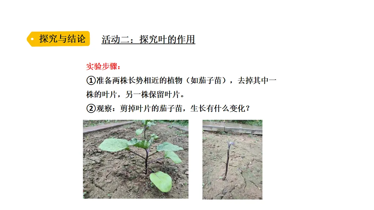 17918796第5页