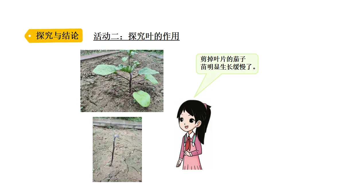 17918796第6页