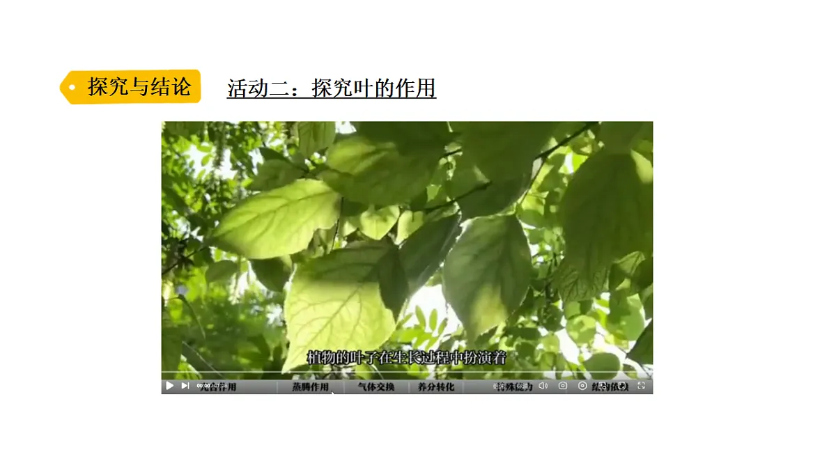 17918796第7页