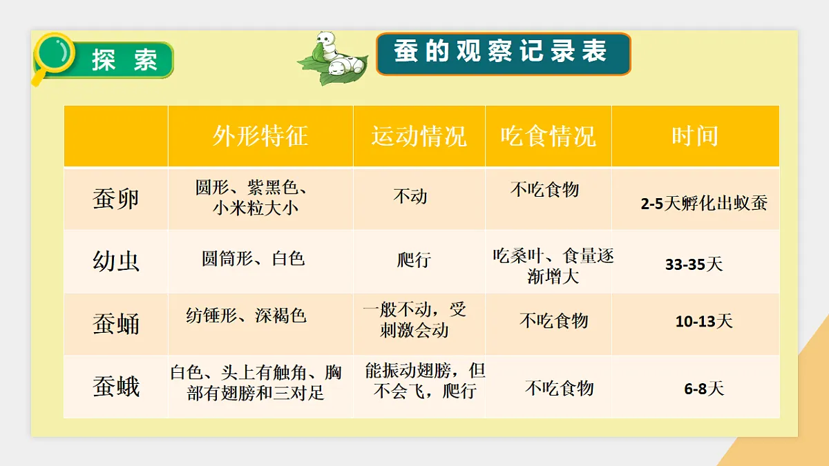 2.7 昆虫的一生第6页