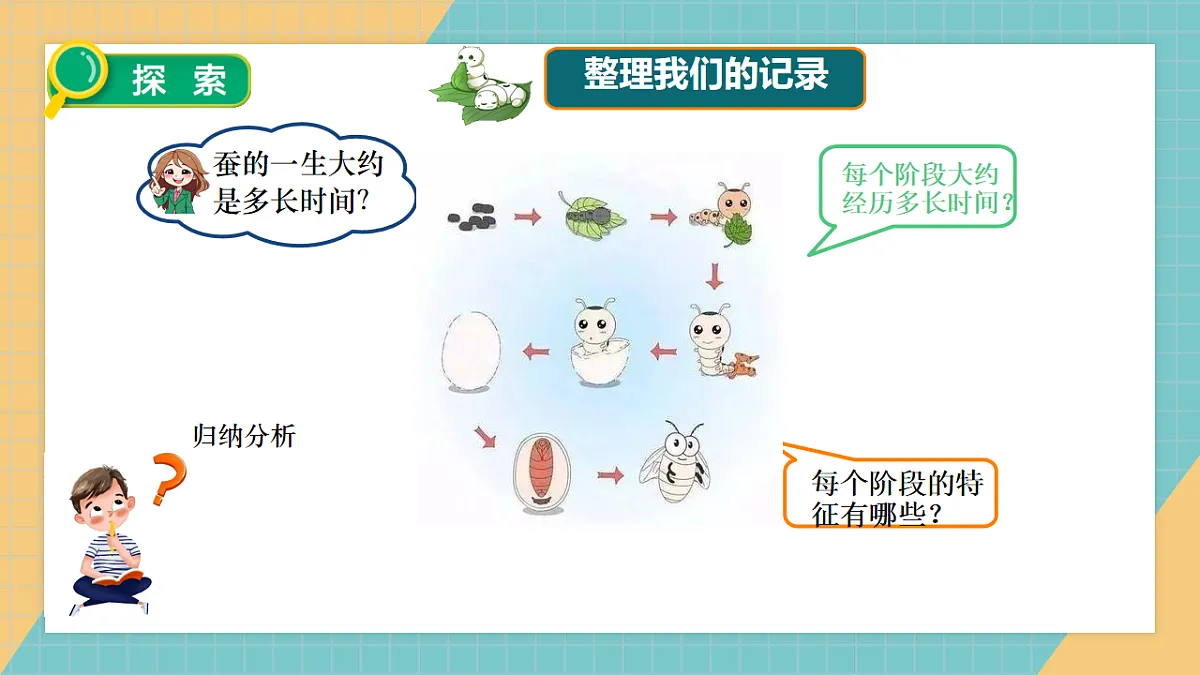 2.7 昆虫的一生第7页
