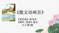人教部编版(2024)七年级上册(2024)散文诗二首集体备课ppt课件