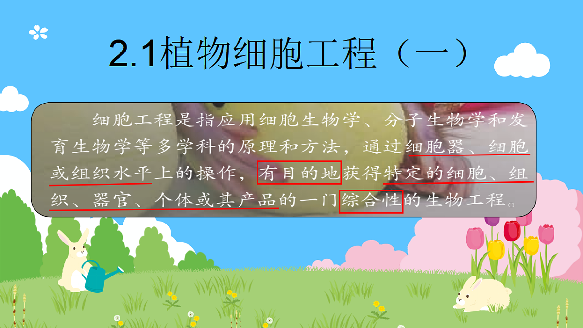 17920085第1页