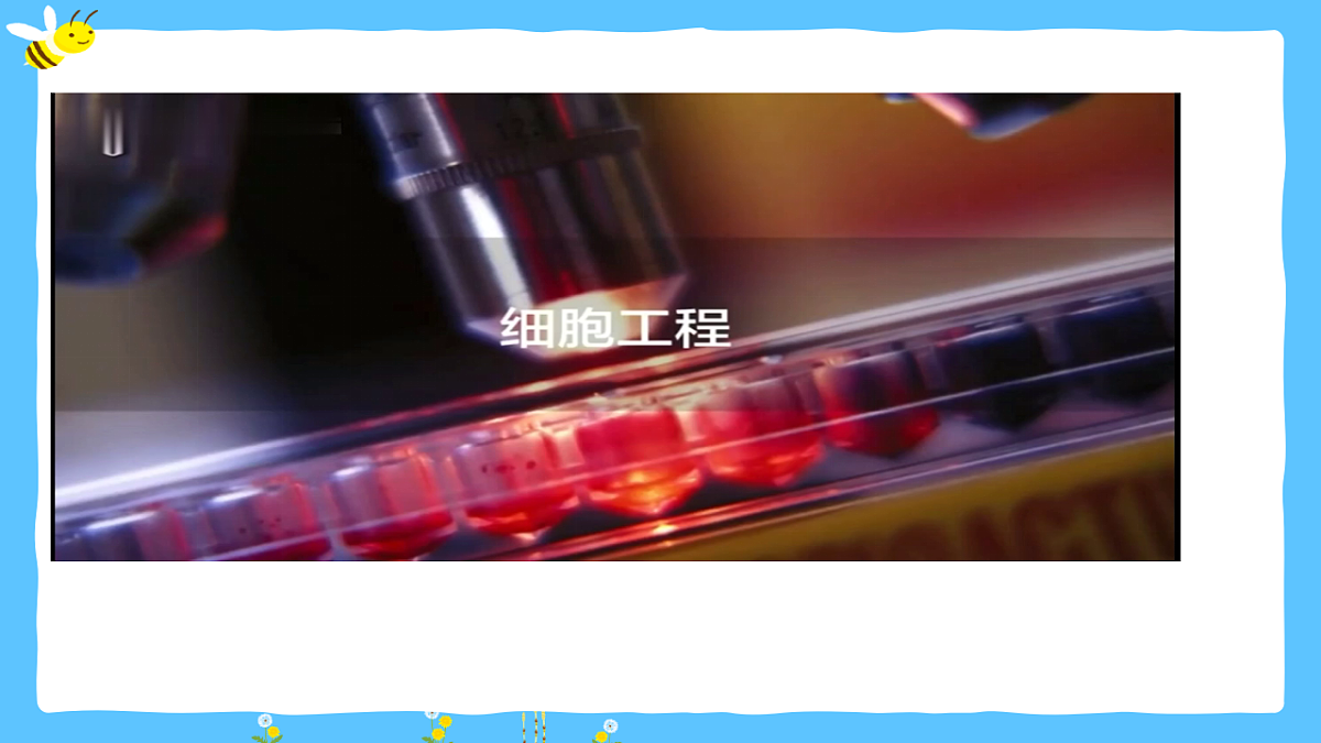 17920085第2页