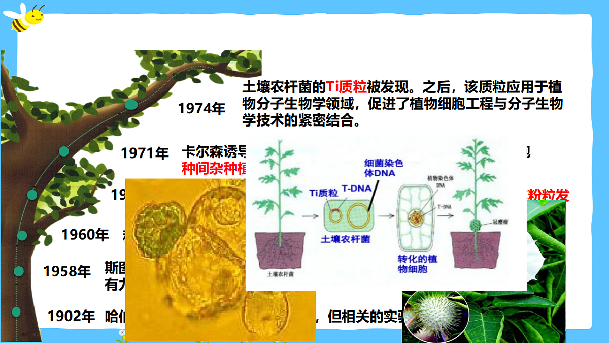 17920085第3页