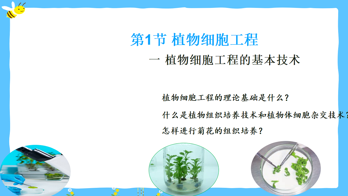 17920085第4页