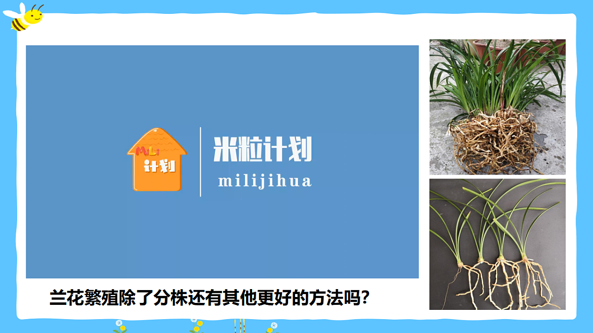 17920085第5页