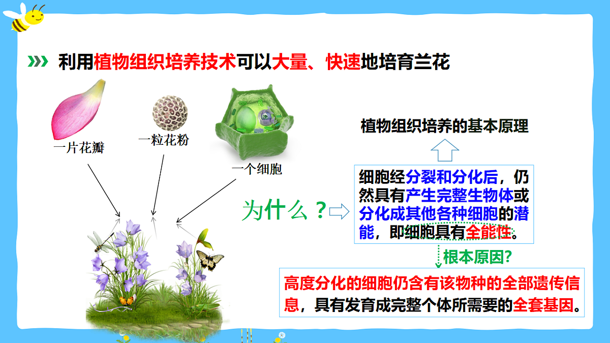 17920085第6页