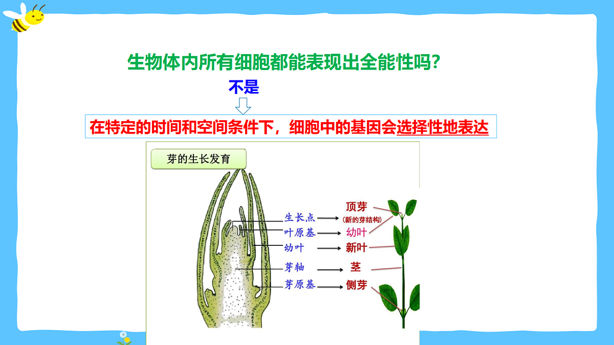 17920085第7页