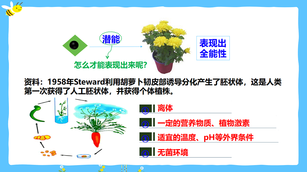 17920085第8页