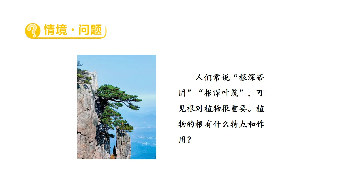 17922393第2页