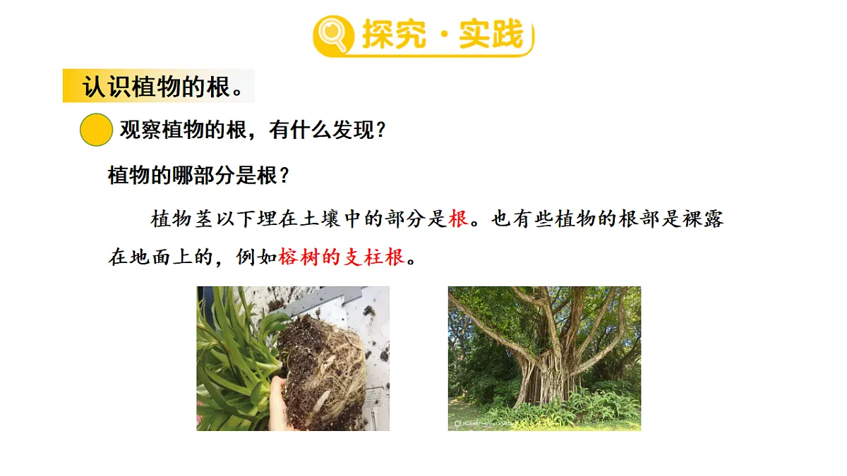 17922393第3页