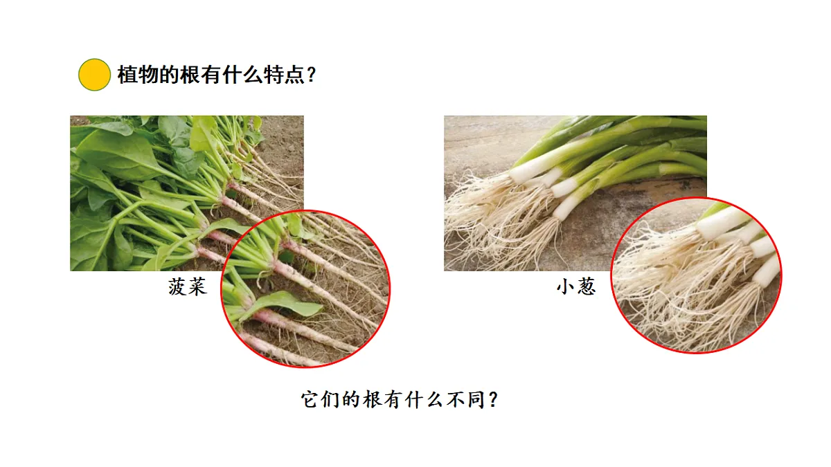 17922393第4页