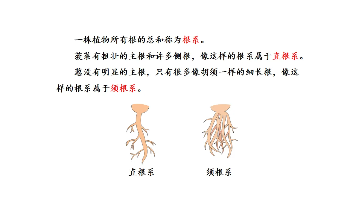 17922393第5页