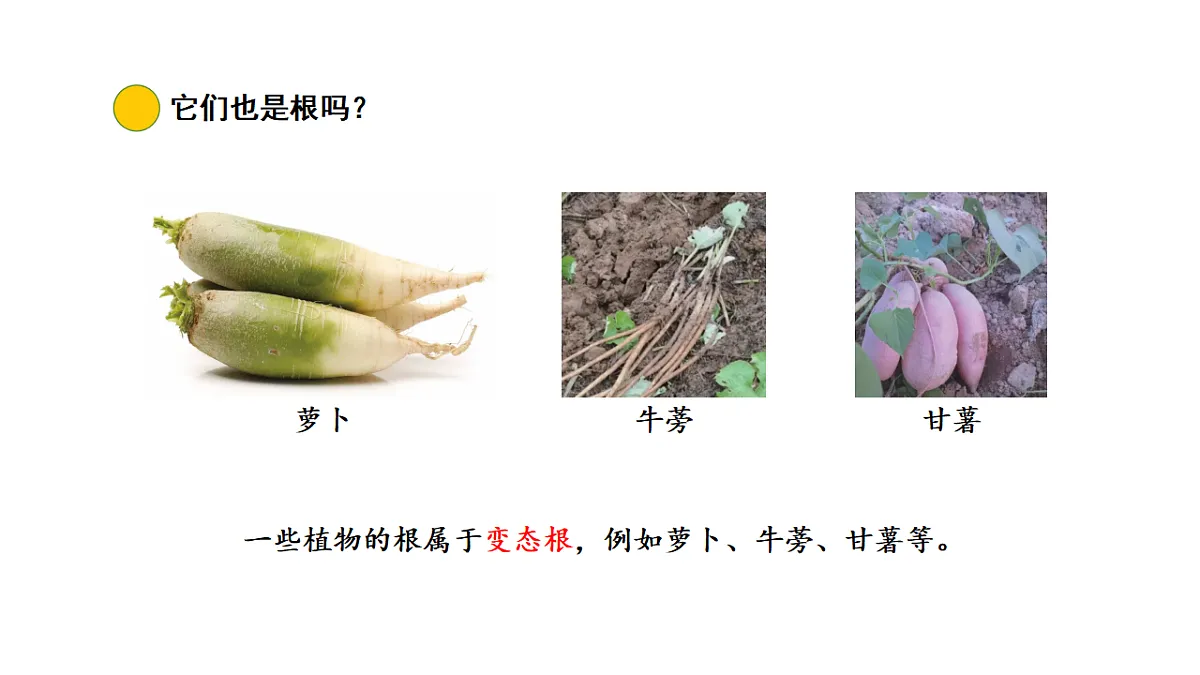 17922393第6页