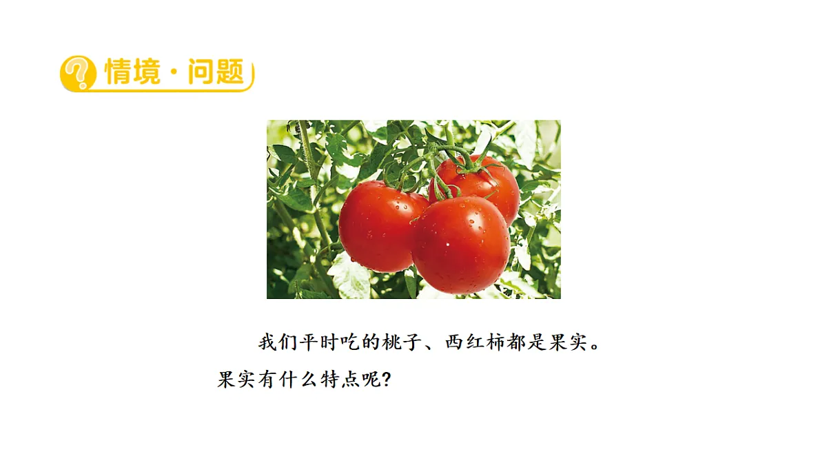 17922397第2页