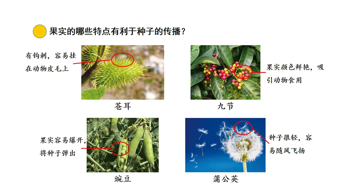 17922397第5页