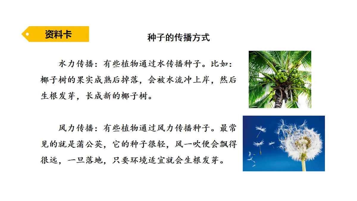 17922397第6页