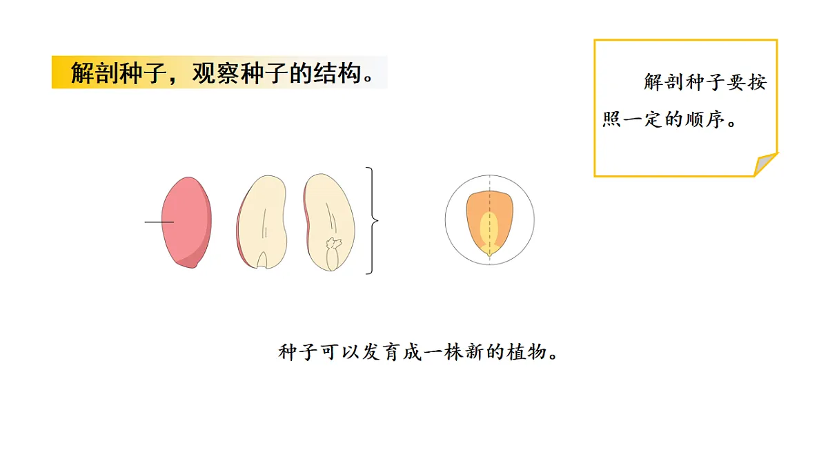 17922397第8页