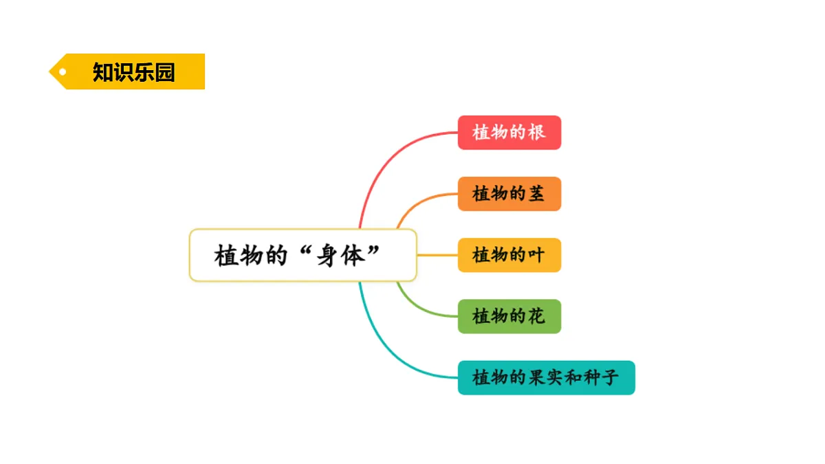 17922399第2页