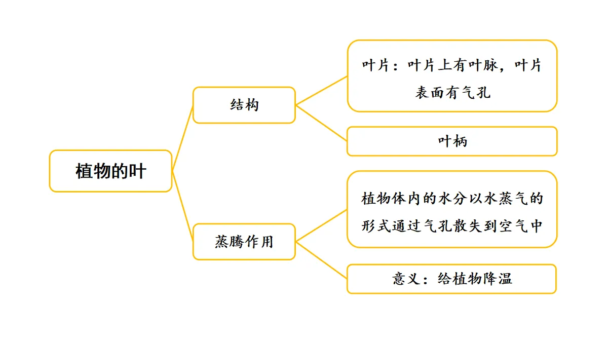 17922399第5页
