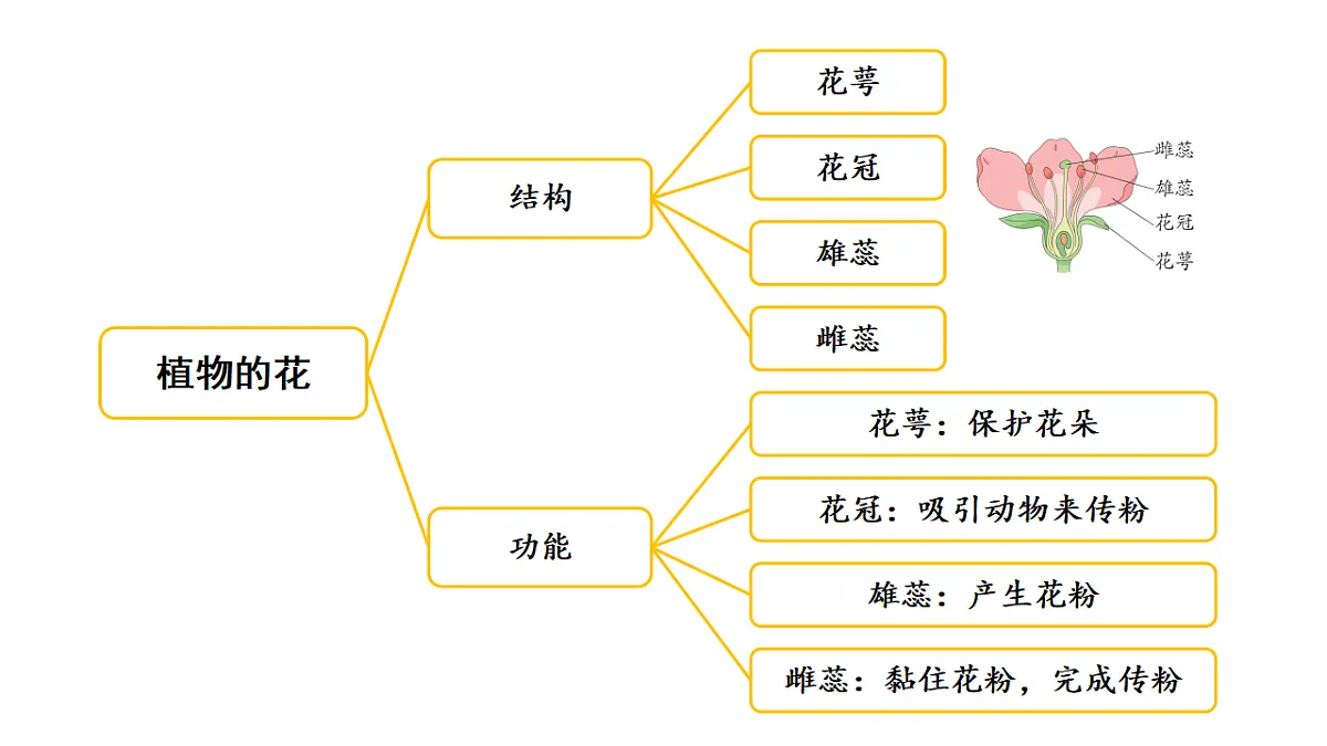 17922399第6页