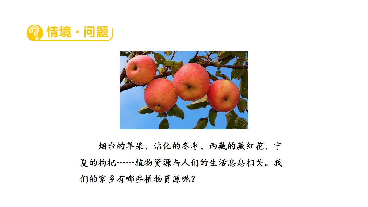 17922403第2页