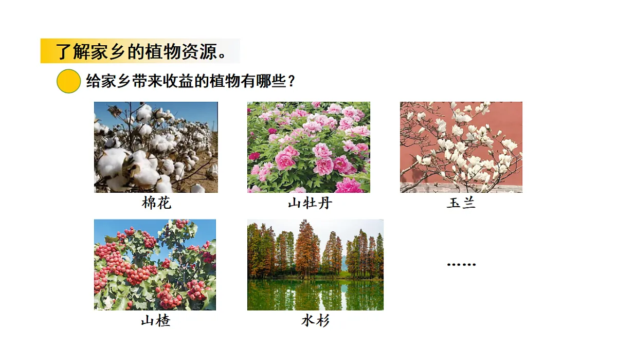 17922403第4页
