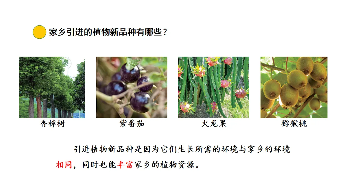 17922403第7页