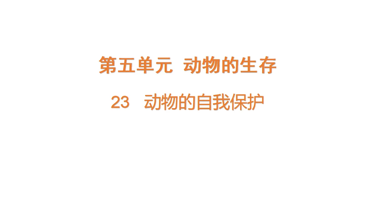 17922413第1页