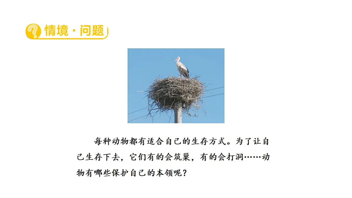 17922413第2页