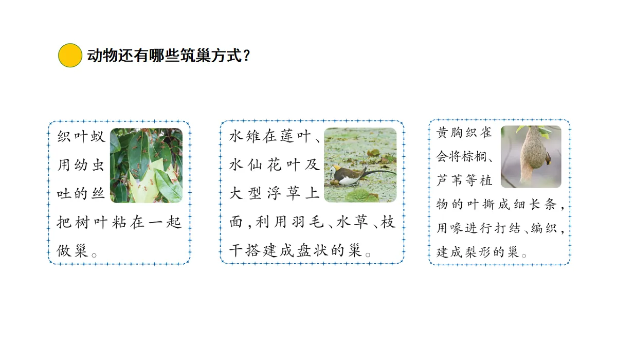 17922413第5页
