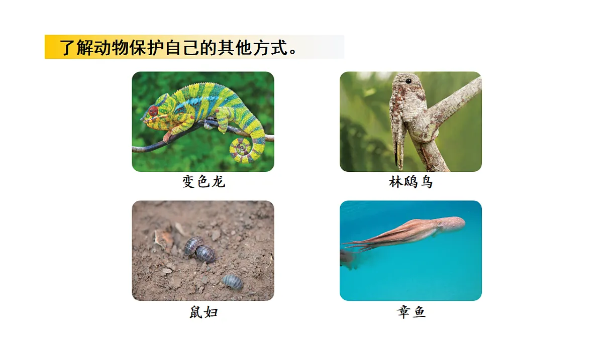 17922413第7页