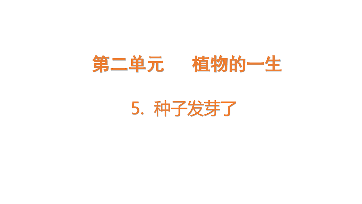 17922563第1页