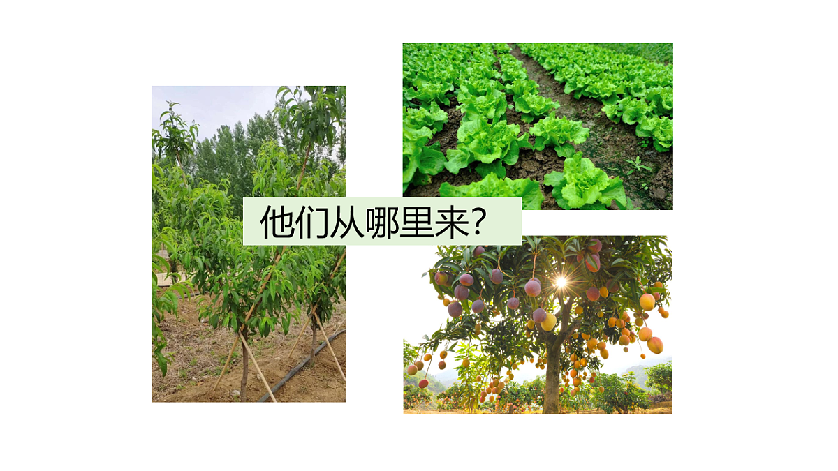 17922563第2页