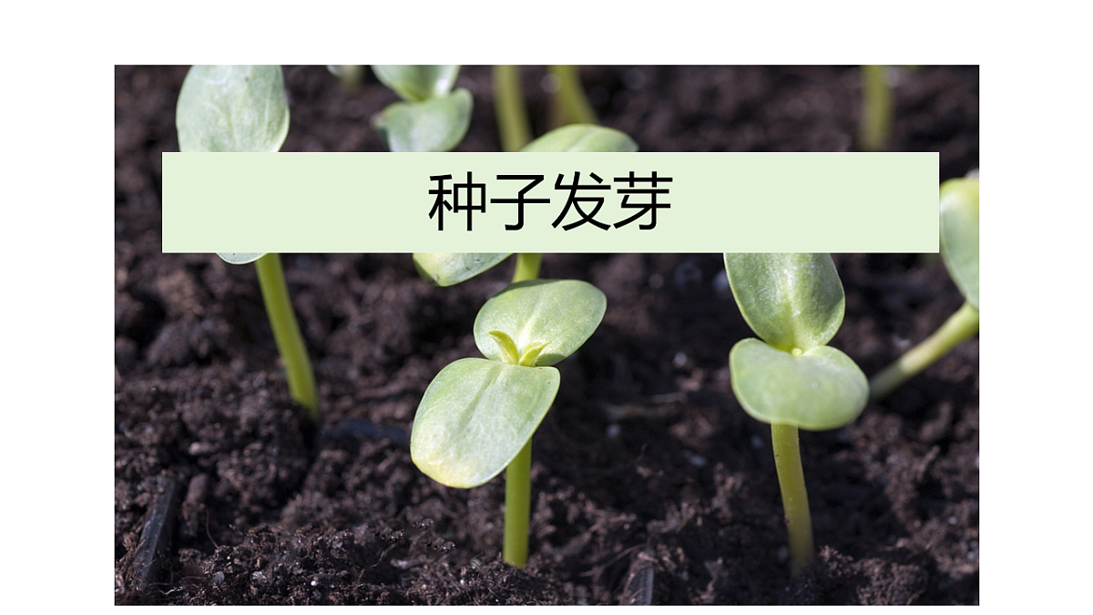 17922563第3页