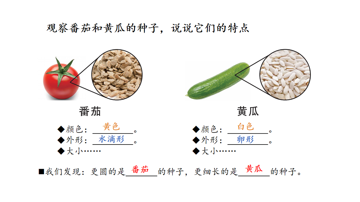 17922563第5页