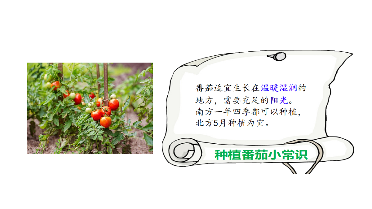 17922563第6页
